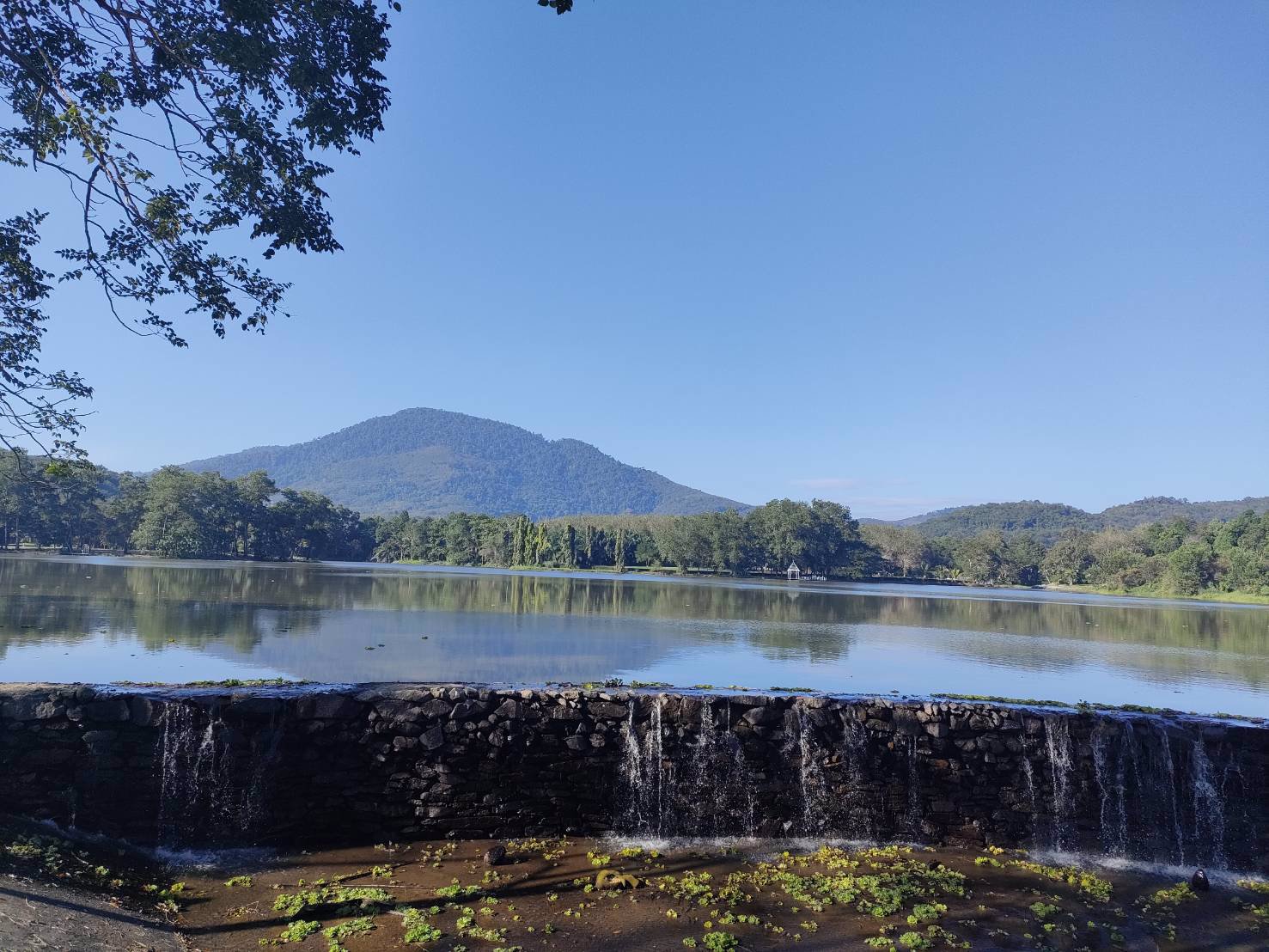 ขายที่ดิน-1-ไร่-2-งานในโครงการสวนเกษตรศิริฟาร์ม-เหมาะสำหรับปลูกเป็นบ้านพักตากอากาศ