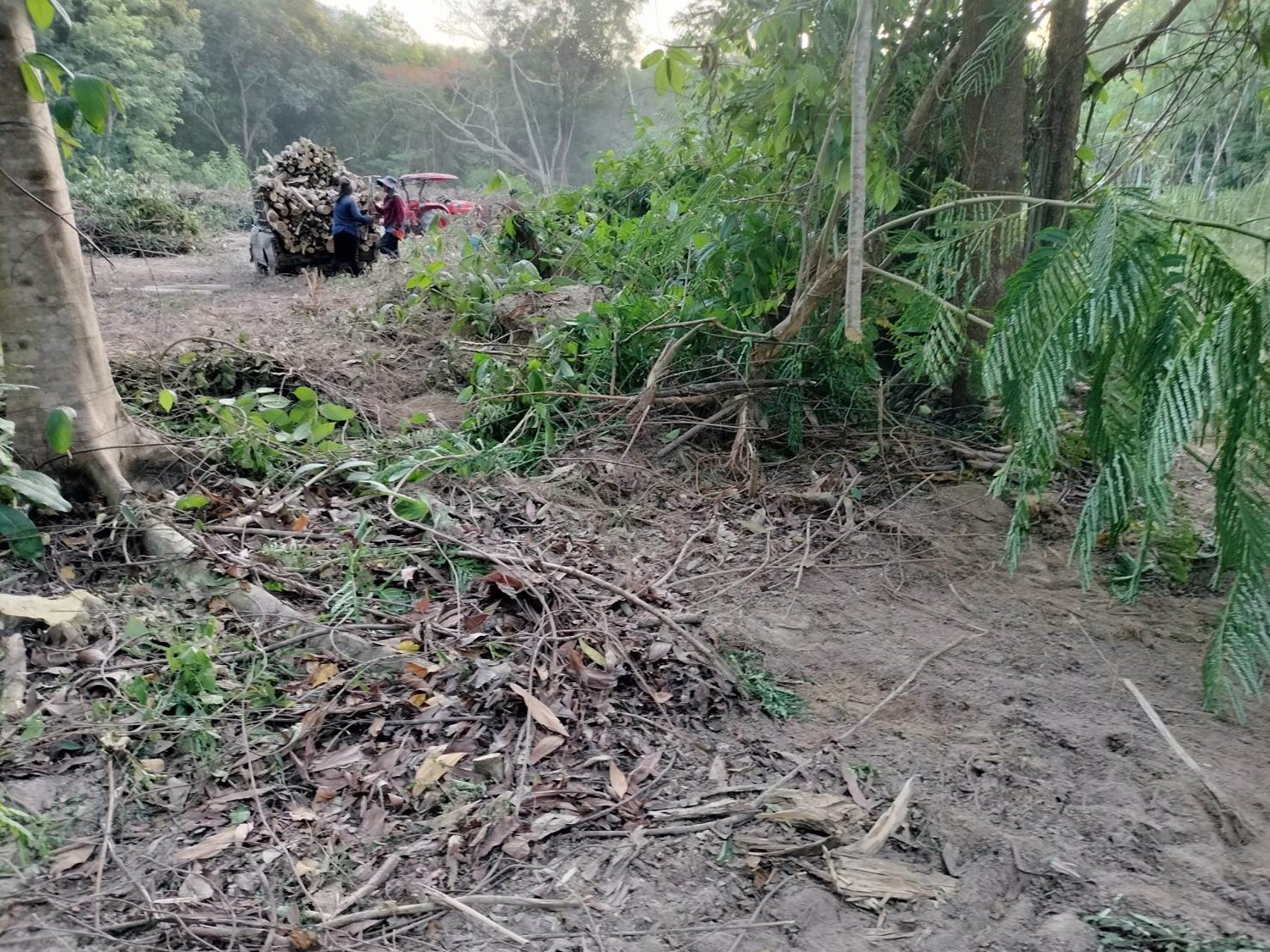 ขายที่ดิน-1-ไร่-2-งานในโครงการสวนเกษตรศิริฟาร์ม-เหมาะสำหรับปลูกเป็นบ้านพักตากอากาศ