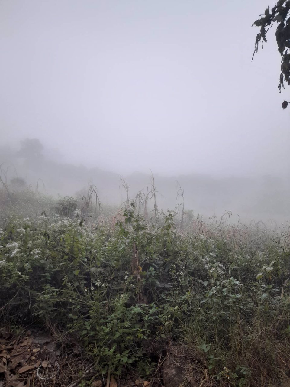 ขาย-ที่ดินวัยเกษียณ-โซนธรรมชาติ-เพียง-29-แสน-ทำเลชัยภูมิที่ดีที่สุด-จังหวัดน่าน-