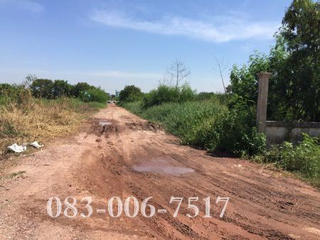 ขายที่ดิน-ข้างปั้มเชล์-ถเอกชัย-บางบอน-31-ไร่-ใกล้-โรงเรียนศึกษานารี-เข้าซอย-700-ม-เดินทางสะดวก