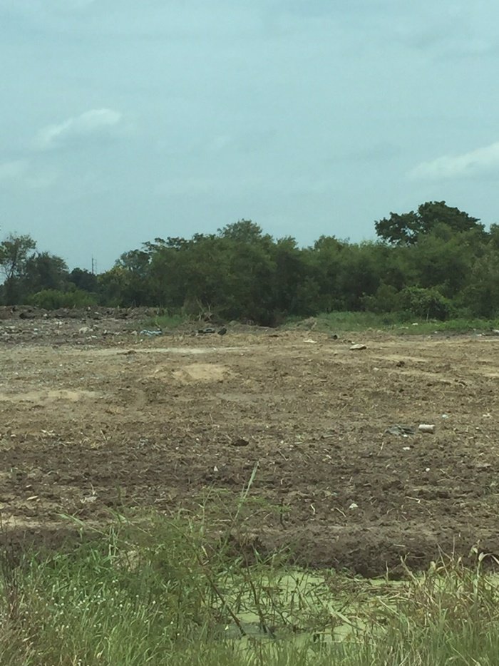 ขายที่ดิน-ลาดหลุมแก้ว-ปทุมธานี-15-ไร่ครึ่ง-พื้นที่สีม่วง-แบ่งขายได้-ติดถนน-เดินทางไป-วงแหวนตะวันตก-ส