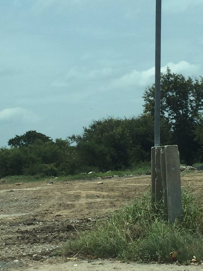 ขายที่ดิน-ลาดหลุมแก้ว-ปทุมธานี-15-ไร่ครึ่ง-พื้นที่สีม่วง-แบ่งขายได้-ติดถนน-เดินทางไป-วงแหวนตะวันตก-ส