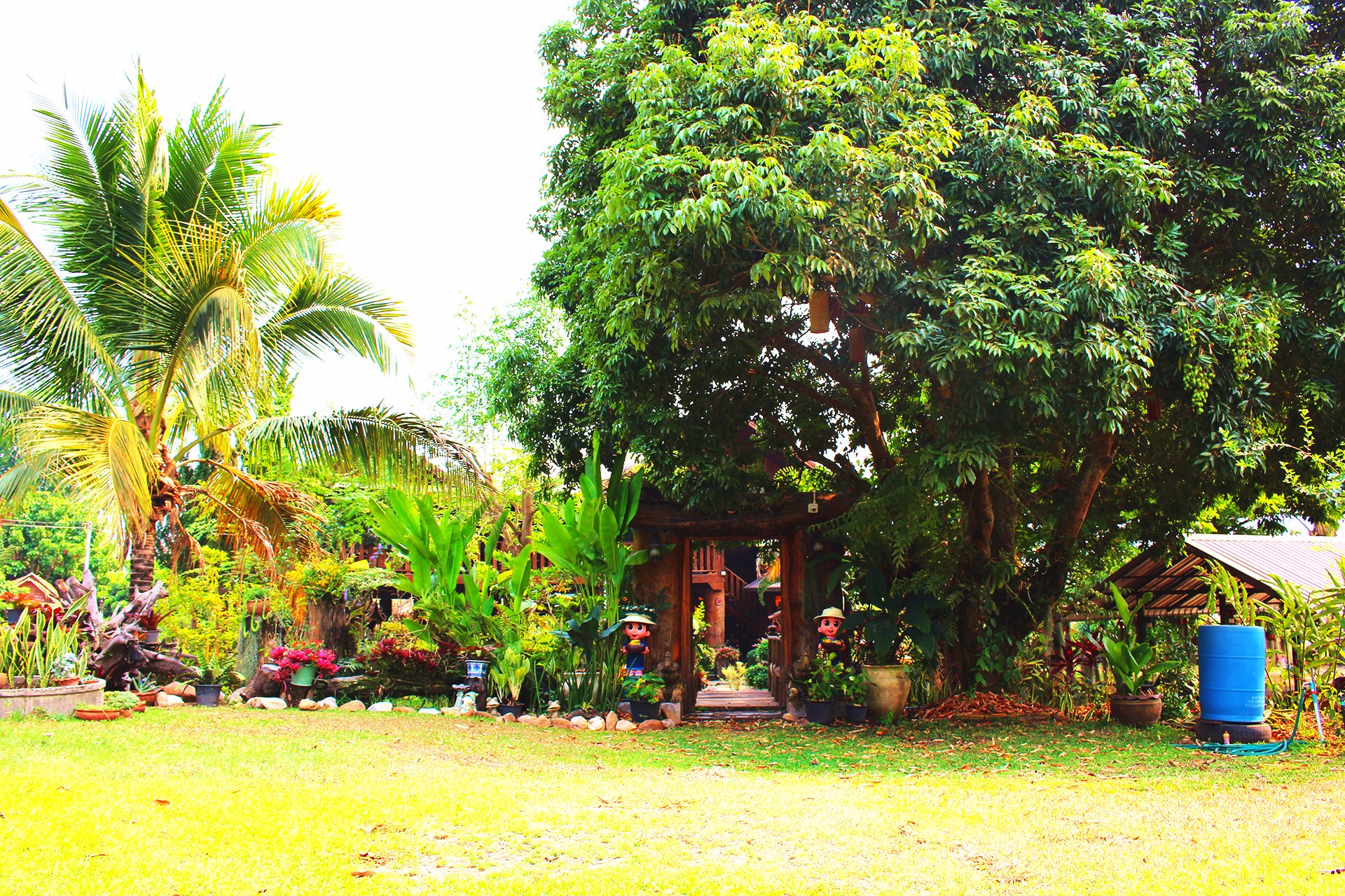 เจ้าของ-ขายบ้านพักตากอากาศ-เห็นดอยหลวงสุดลูกหูลูกตา-ราคา-24999999-บาท