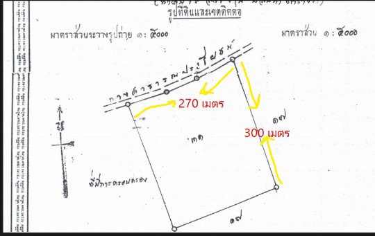 ขายที่ดินสวยๆ-เสิงสาง-นครราชสีมา-ราคาสุดถูก-มี-50-ไร่-แบ่งได้-