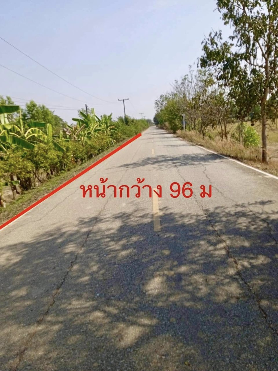 ขาย-ที่ดิน-สากเหล็ก-พิจิตร-6-0-42-ตรว