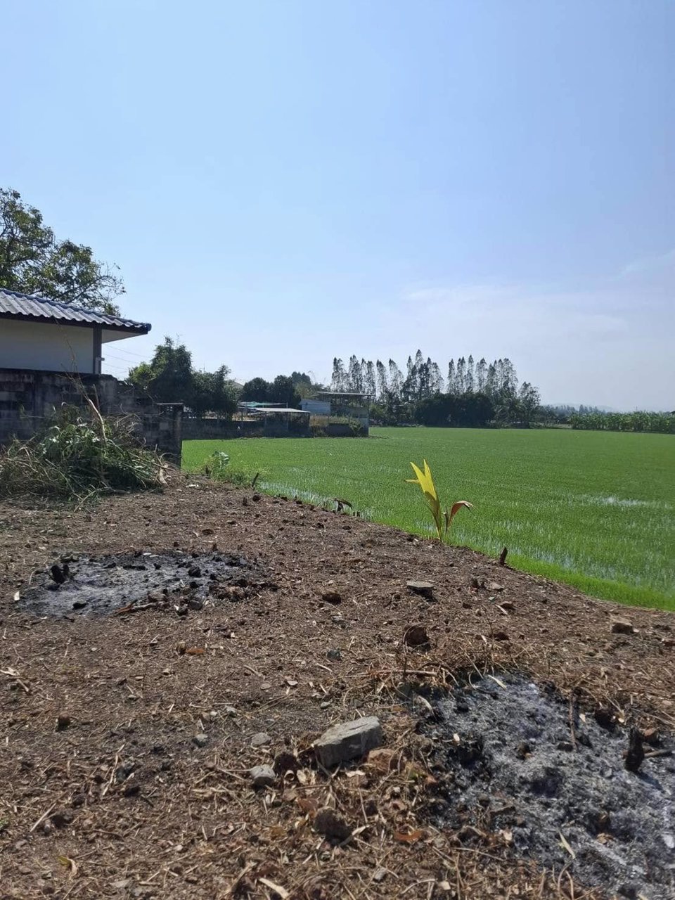 ขายตึกแถว-ติดถนน-อู่ทอง-สุพรรณบุรี