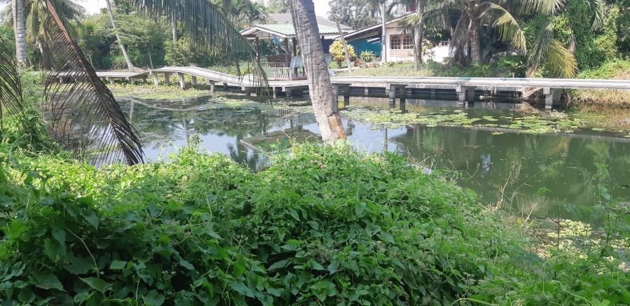 ขายที่ดิน-ใน-หลักสาม-บ้านแพ้ว