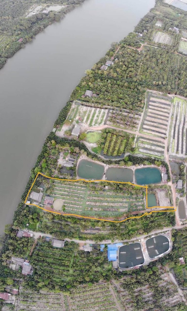 ขายที่ดินแปลงสวยติดแม่น้ำบางปะกง-จฉะเชิงเทรา