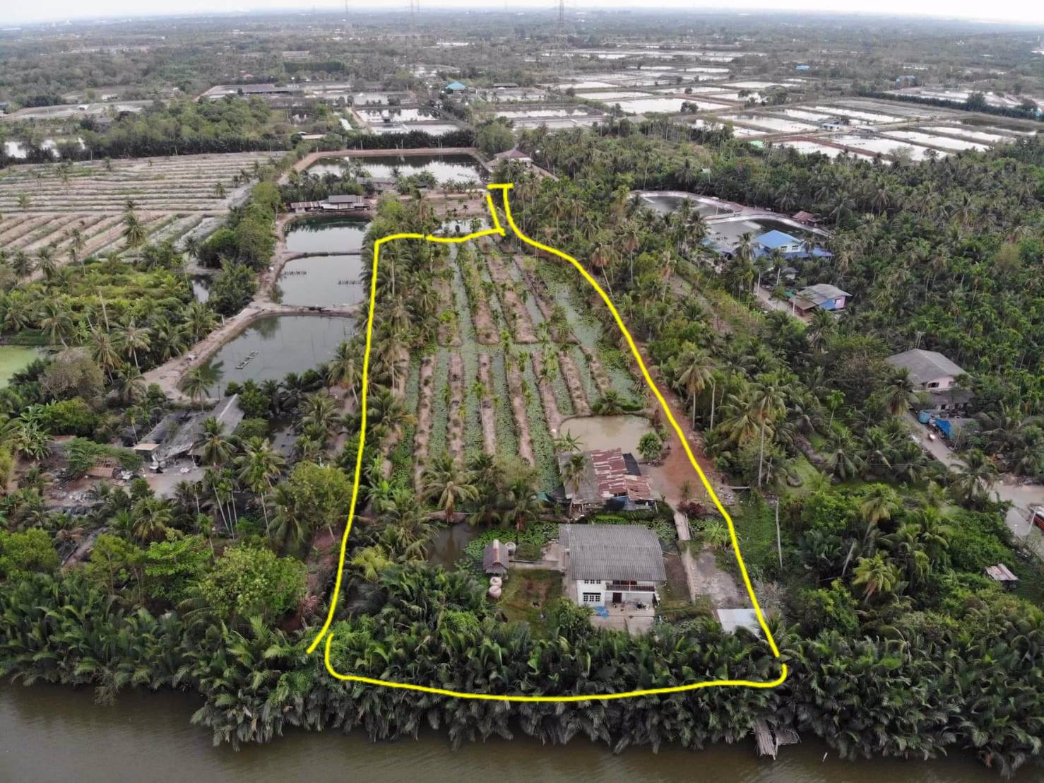 ขายที่ดินแปลงสวยติดแม่น้ำบางปะกง-จฉะเชิงเทรา