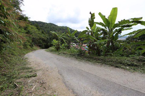 ขายที่ดินภูเก็ต-sea-view-เนื้อที่-4-ไร่-23-ตารางวา-ไร่ละ-10-ล้าน-แบ่งขายได้-ขายรวม-40-ล้าน