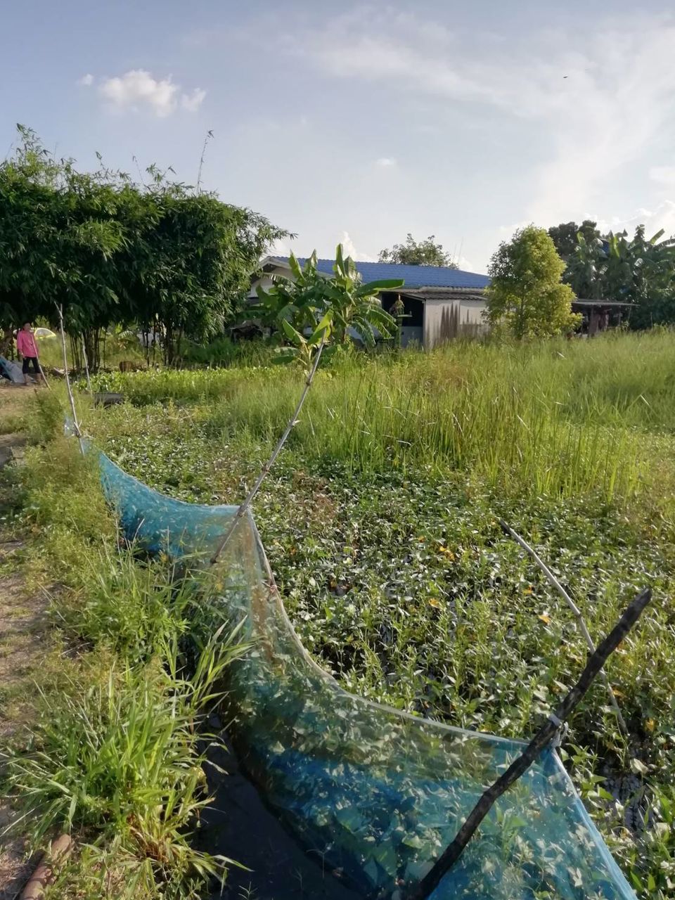 ขายด่วนที่ดินทำเลดีราคาถูก-1-ไร่-จตุโชติ