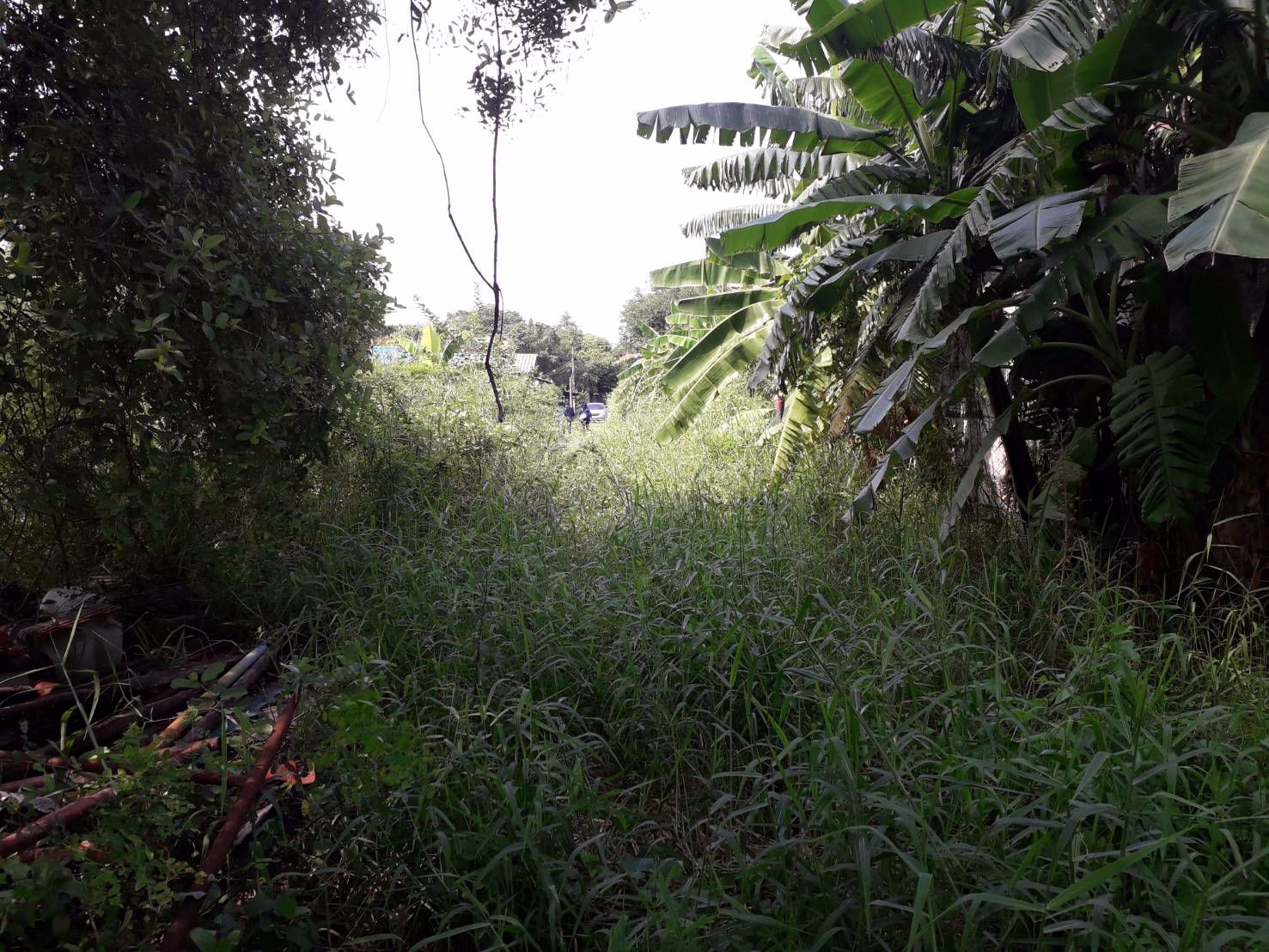 ขายด่วนที่ดินราคาถูก-2-ไร่-ซสายไหม-64-1