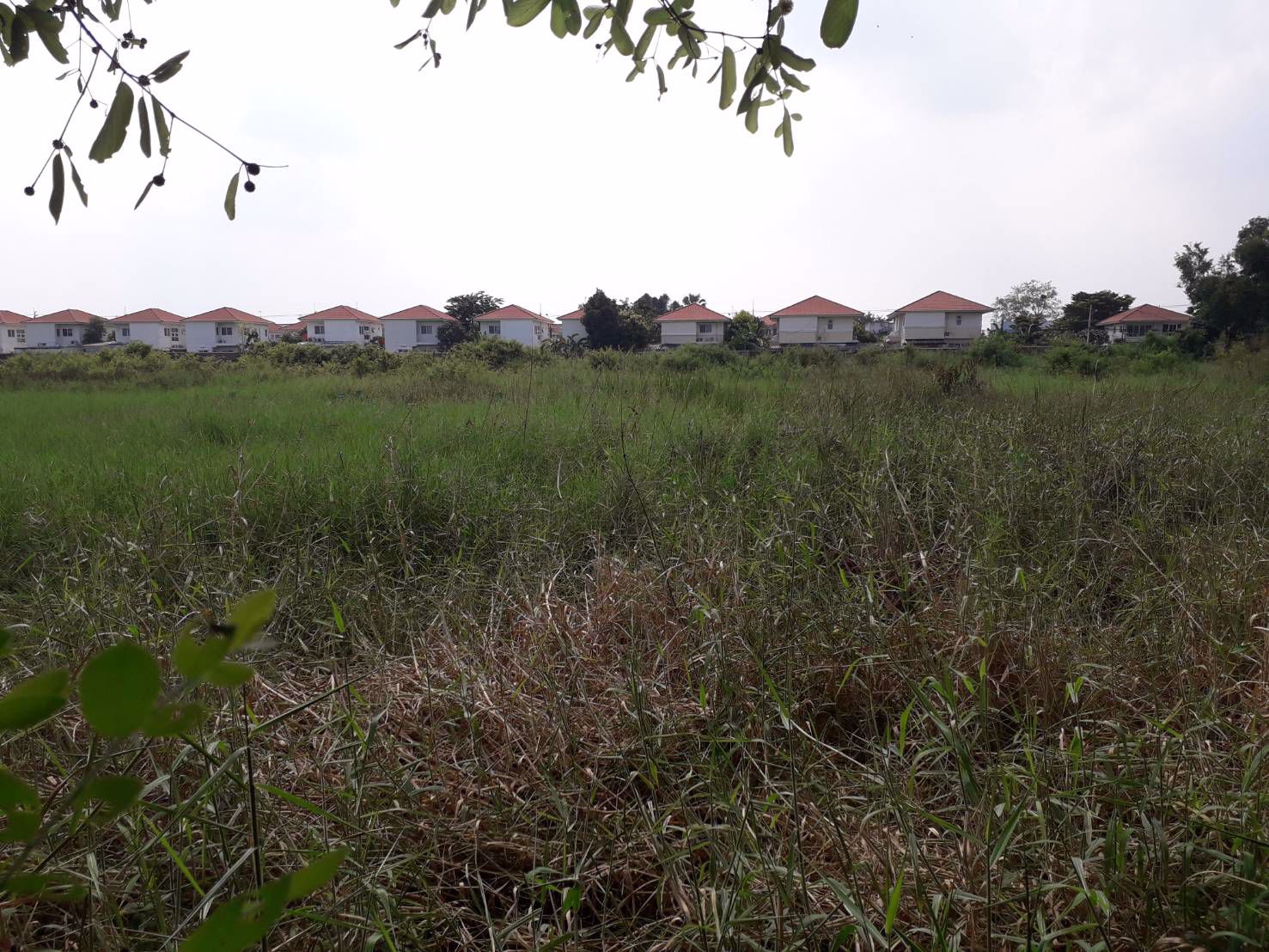 ขายด่วนที่ดินราคาถูก-2-ไร่-ซสายไหม-64-1