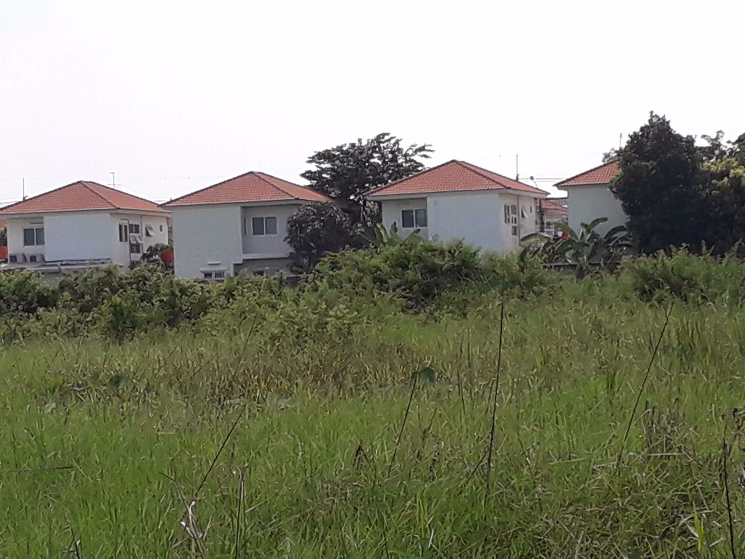 ขายด่วนที่ดินราคาถูก-2-ไร่-ซสายไหม-64-1