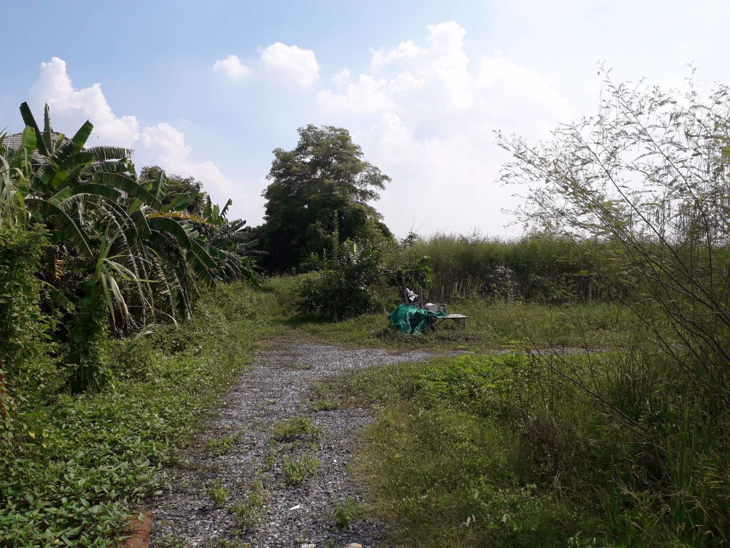 ขายด่วนที่ดินราคาถูก-2-ไร่-ซสายไหม-64-1