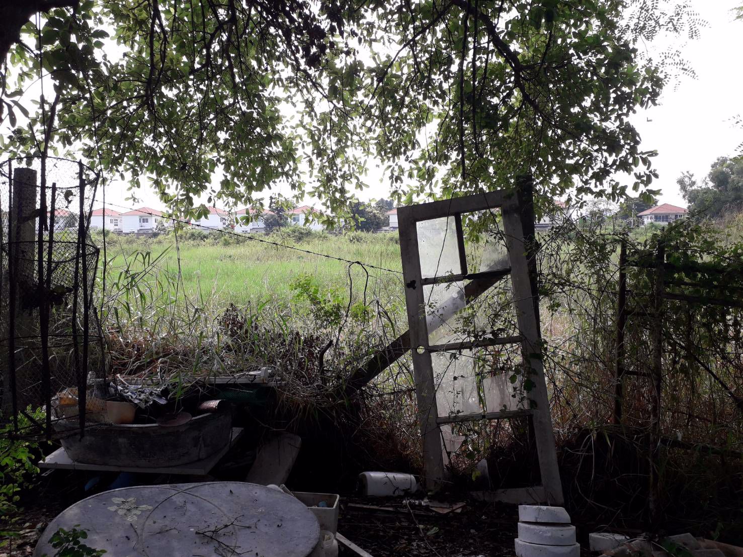 ขายด่วนที่ดินราคาถูก-2-ไร่-ซสายไหม-64-1