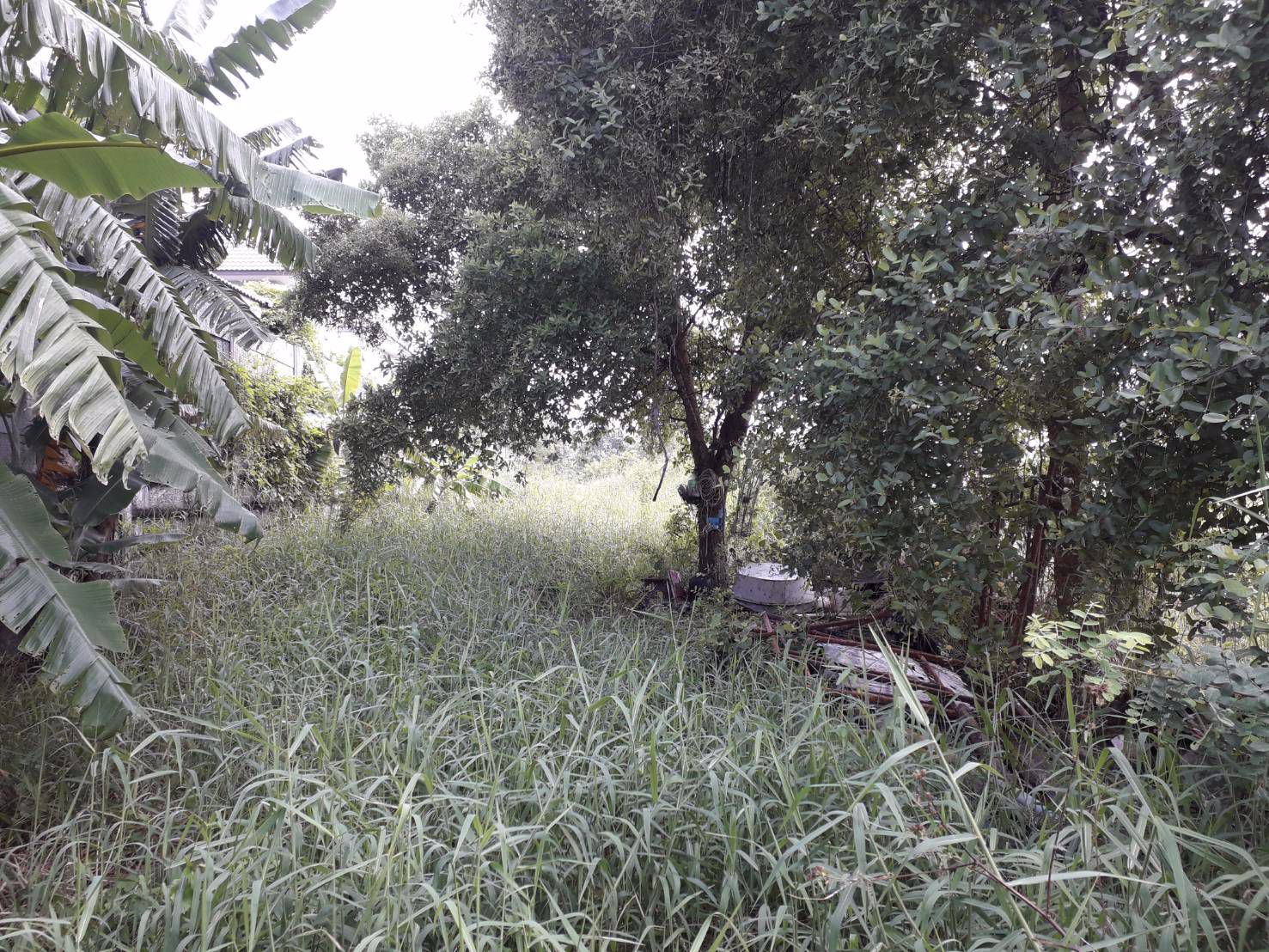 ขายด่วนที่ดินราคาถูก-2-ไร่-ซสายไหม-64-1