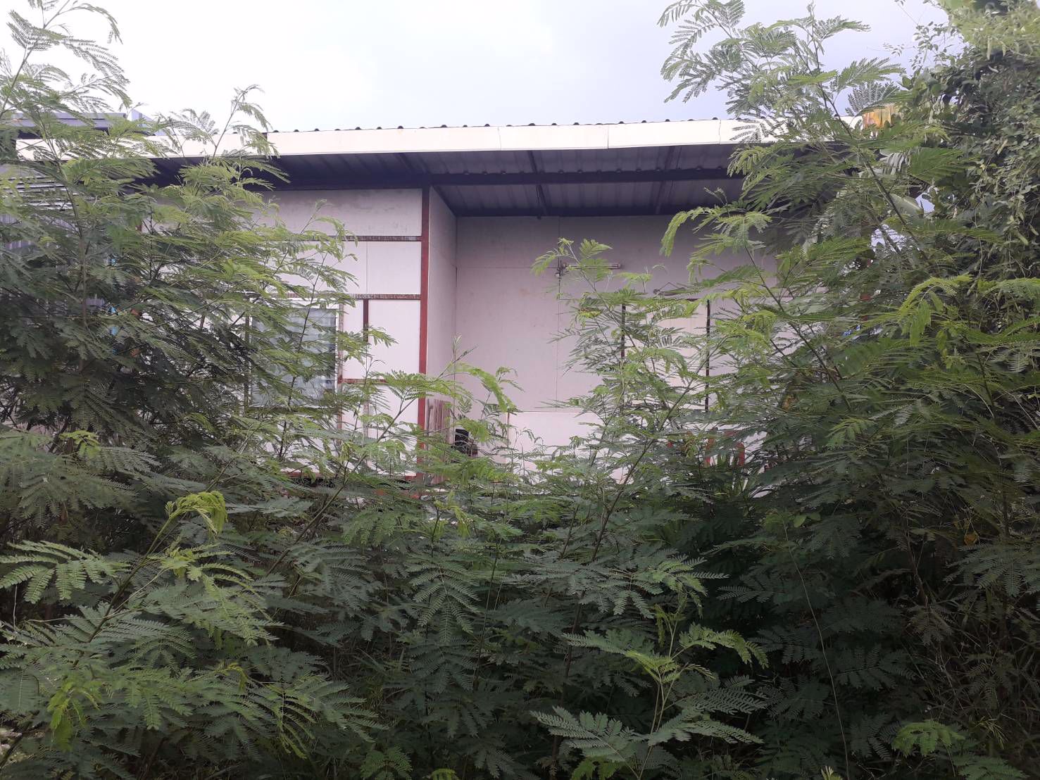 ขายที่ดินพร้อมสิ่งปลูกสร้าง-50-ตารางวา-ราคาถูกลำลูกกาคลอง-3-ใกล้รถไฟฟ้าคูคต