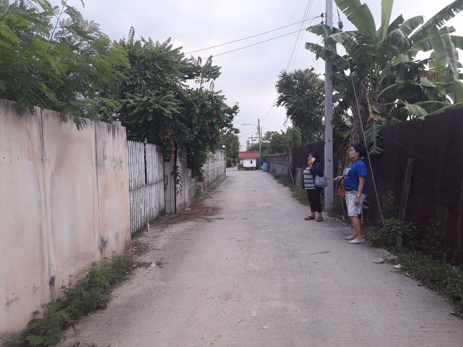 ขายที่ดินพร้อมสิ่งปลูกสร้าง-50-ตารางวา-ราคาถูกลำลูกกาคลอง-3-ใกล้รถไฟฟ้าคูคต