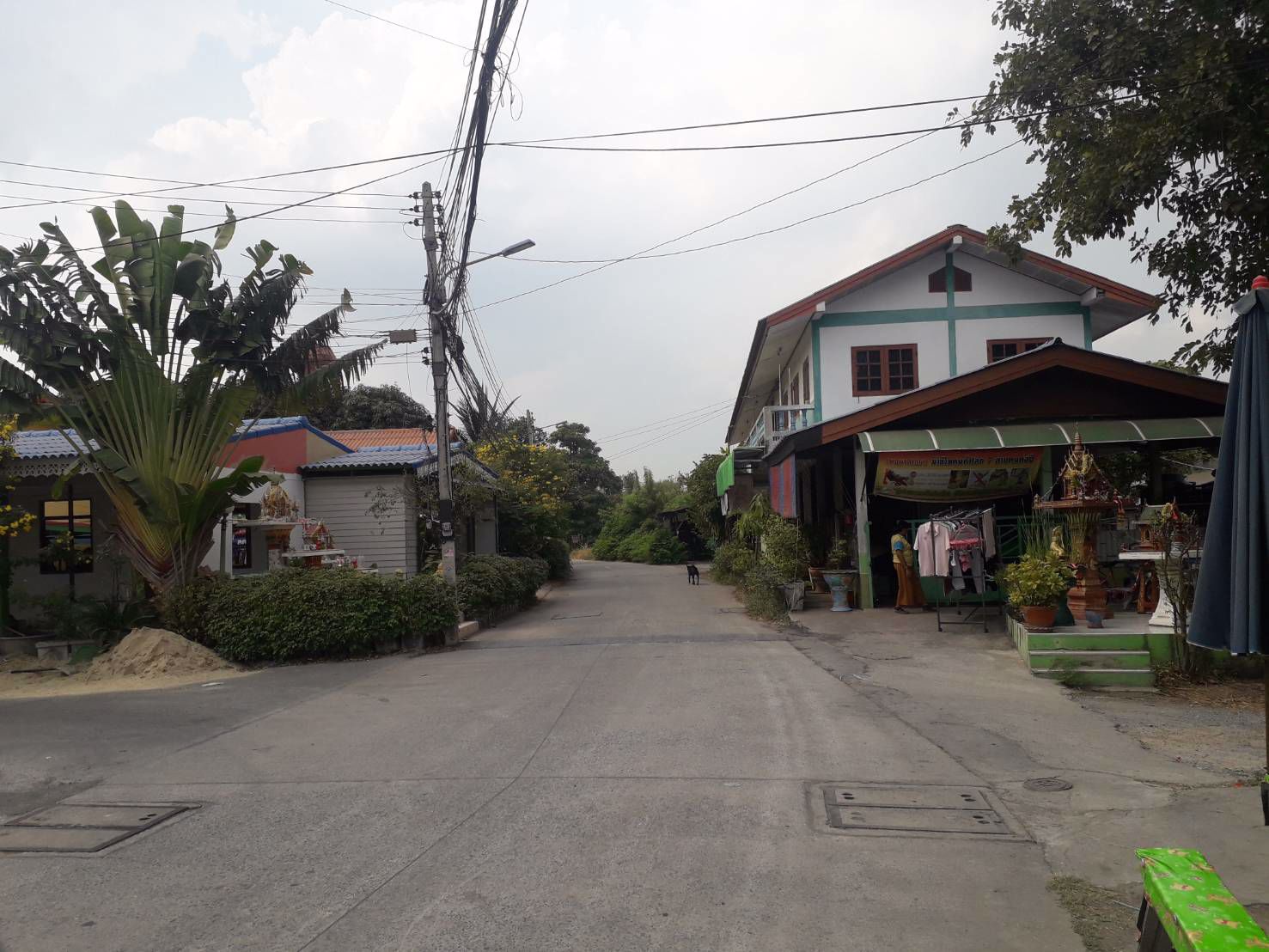 ขายถูกที่ดิน-3-ไร่กว่า-ทำเลดีห่างถนนติวานนท์เพียง-120-ม