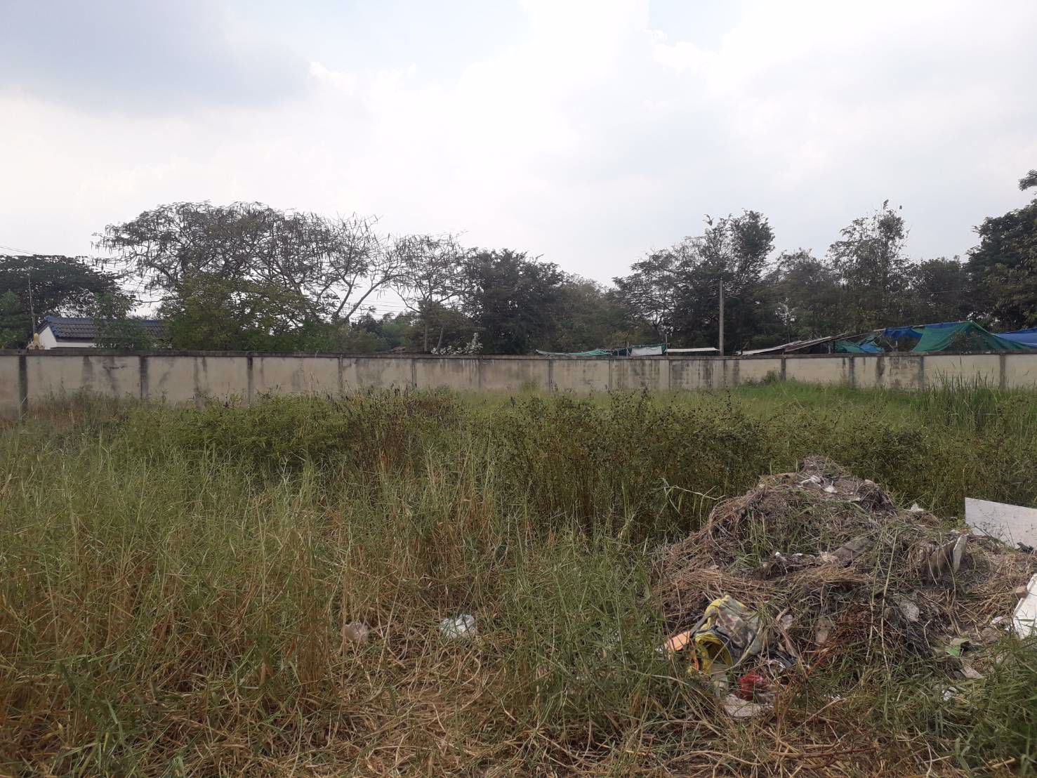 ขายถูกที่ดิน-3-ไร่กว่า-ทำเลดีห่างถนนติวานนท์เพียง-120-ม