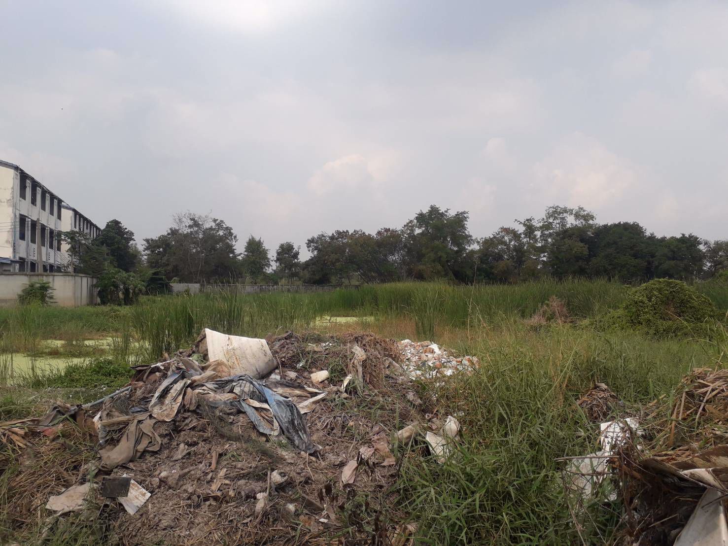 ขายถูกที่ดิน-3-ไร่กว่า-ทำเลดีห่างถนนติวานนท์เพียง-120-ม