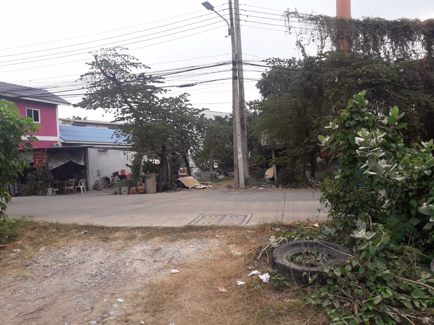 ขายถูกที่ดิน-3-ไร่กว่า-ทำเลดีห่างถนนติวานนท์เพียง-120-ม