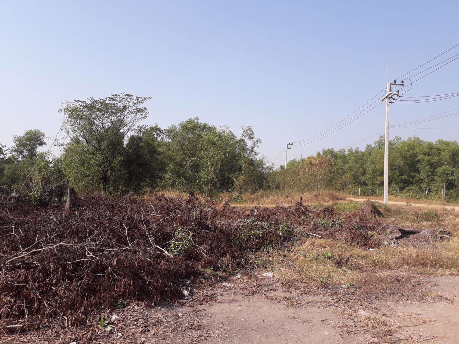 ขายด่วนถูกมากที่ดินสวย-1-ไร่-ย่านลาดหลุมแก้ว-ใกล้ถนนสาย-346