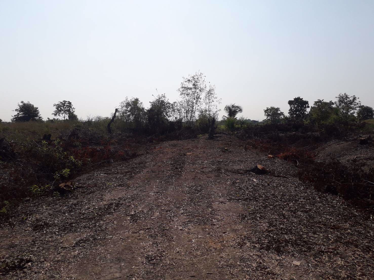 ขายด่วนถูกมากที่ดินสวย-1-ไร่-ย่านลาดหลุมแก้ว-ใกล้ถนนสาย-346