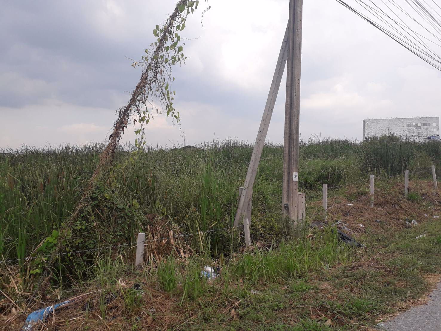 ขายที่ดิน-35-ไร่-ทำเลดีมาก-ติดวงแหวนกาญจนาภิเษกและมอเตอร์เวย์กรุงเทพ-ชลบุรี