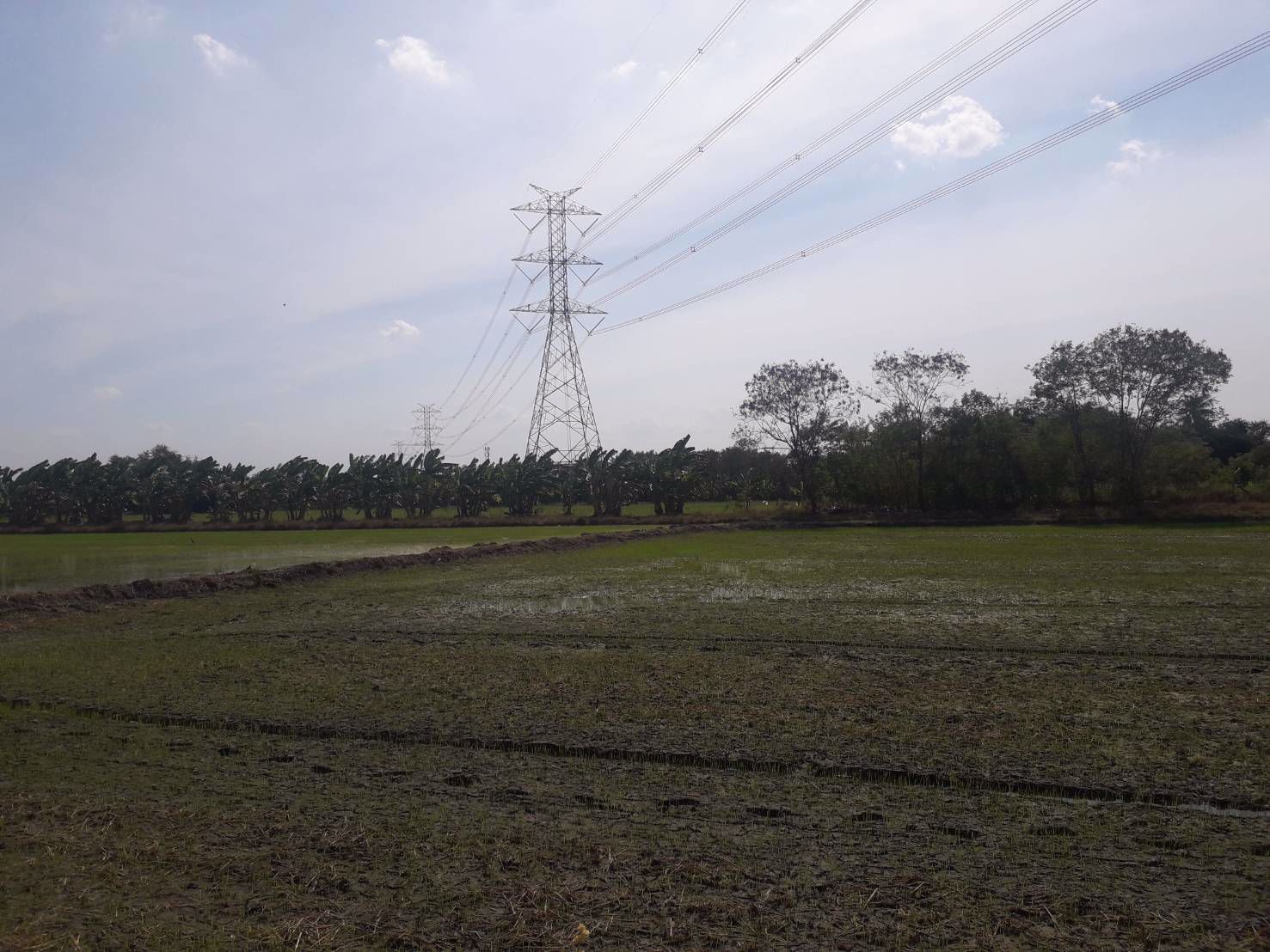 ขายถูกมากที่ดิน-93-ไร่-ติดหมู่บ้านพฤกษา-3-วัดลาดปลาดุก