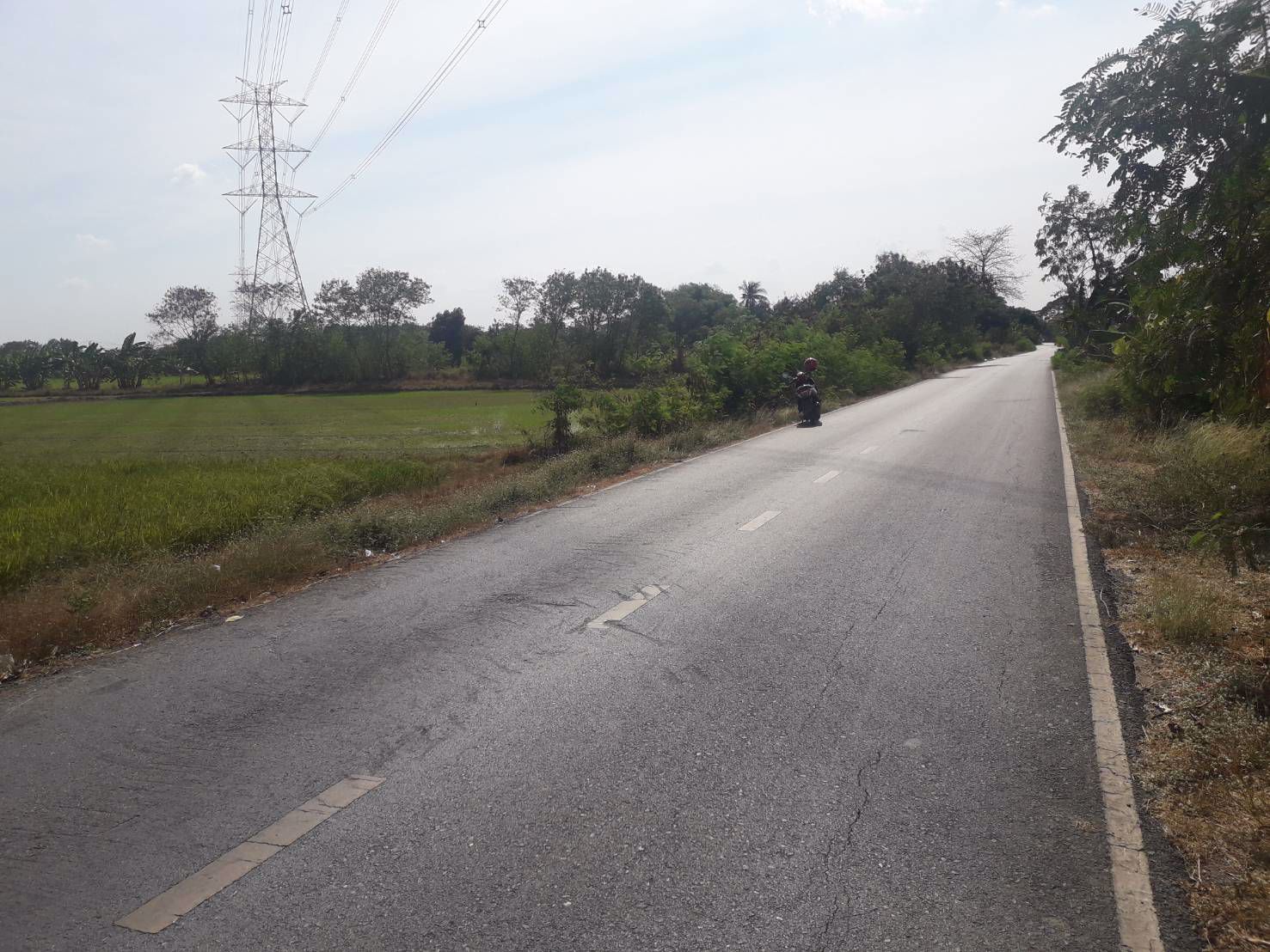 ขายถูกมากที่ดิน-93-ไร่-ติดหมู่บ้านพฤกษา-3-วัดลาดปลาดุก