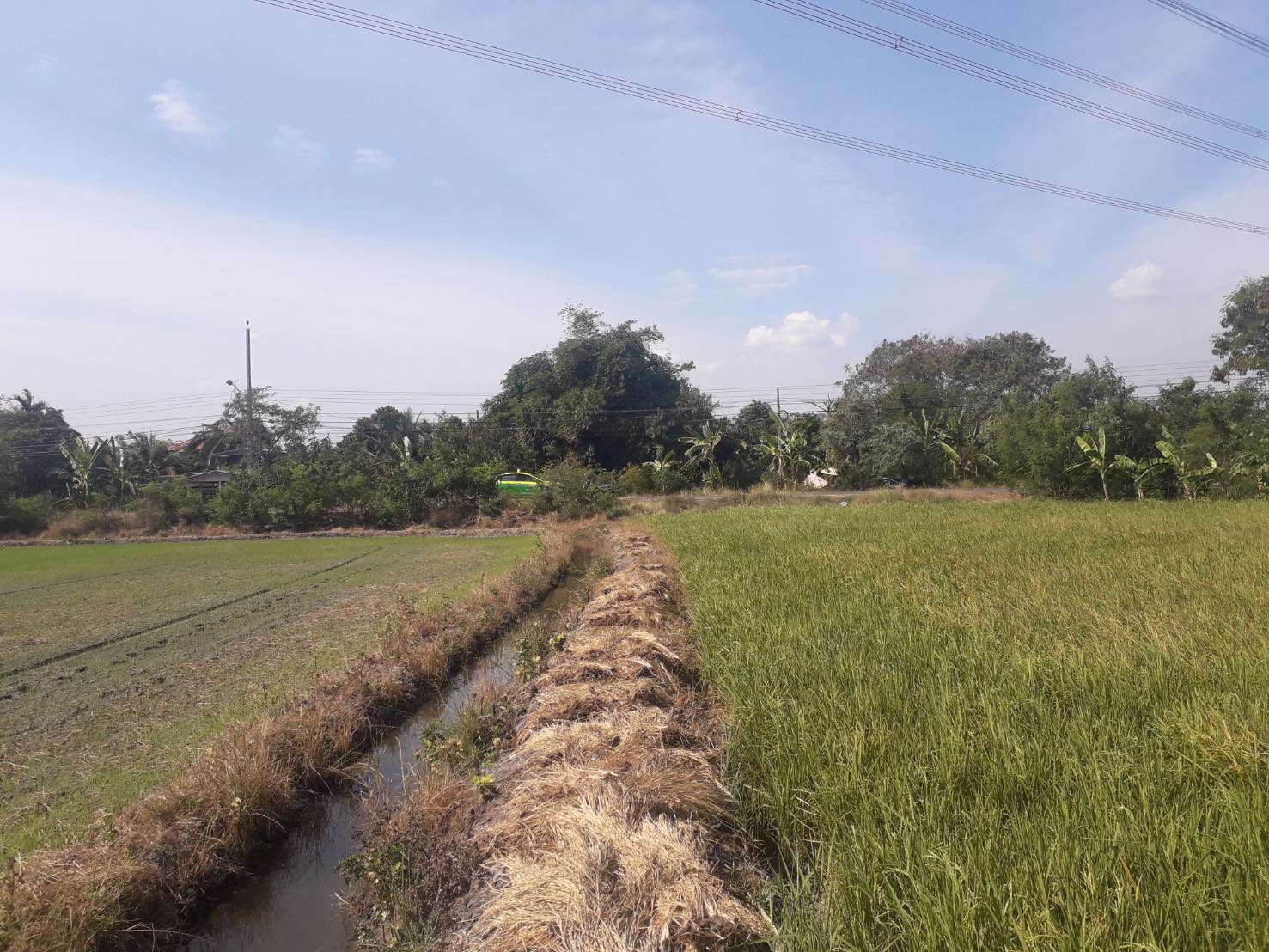 ขายถูกมากที่ดิน-93-ไร่-ติดหมู่บ้านพฤกษา-3-วัดลาดปลาดุก