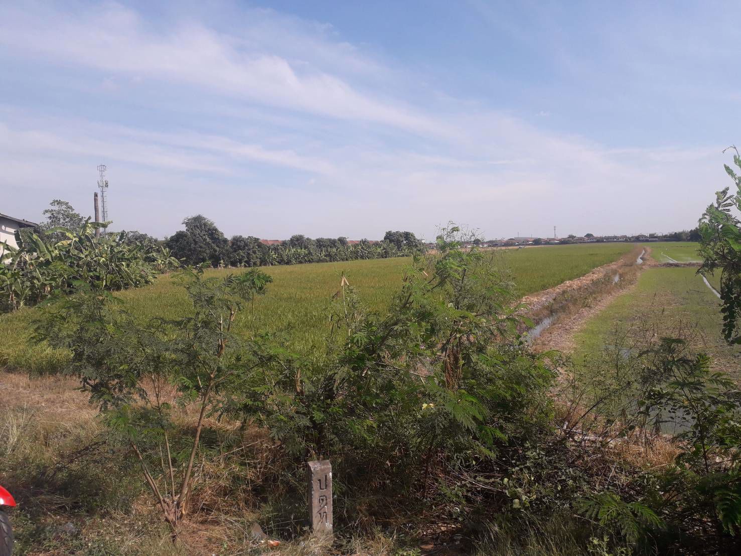 ขายถูกมากที่ดิน-93-ไร่-ติดหมู่บ้านพฤกษา-3-วัดลาดปลาดุก