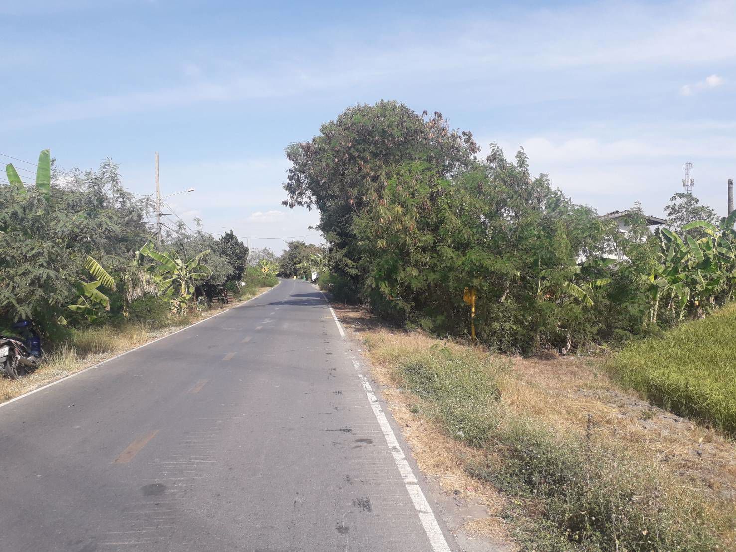ขายถูกมากที่ดิน-93-ไร่-ติดหมู่บ้านพฤกษา-3-วัดลาดปลาดุก