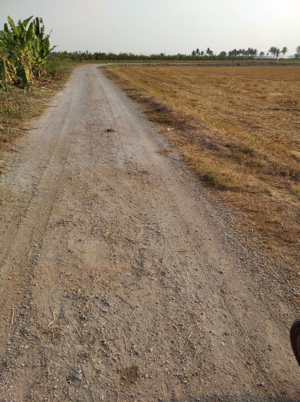 ขายถูกที่ดิน-39-ไร่-ใกล้โซนทำสนามบินนครปฐมแห่งใหม่ราคาไม่แพง