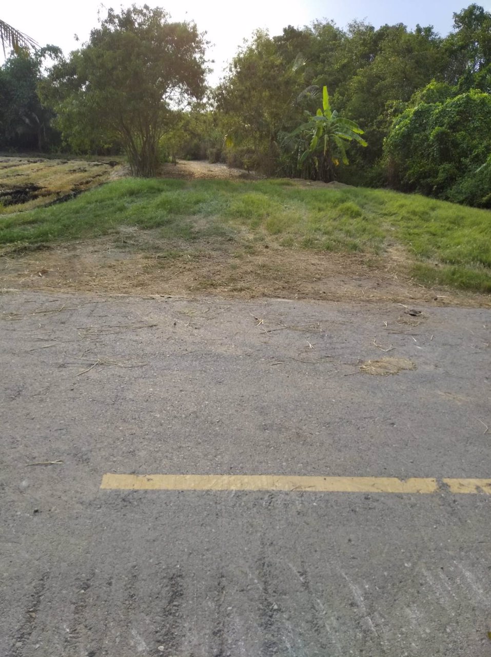 ขายถูกที่ดิน-39-ไร่-ใกล้โซนทำสนามบินนครปฐมแห่งใหม่ราคาไม่แพง