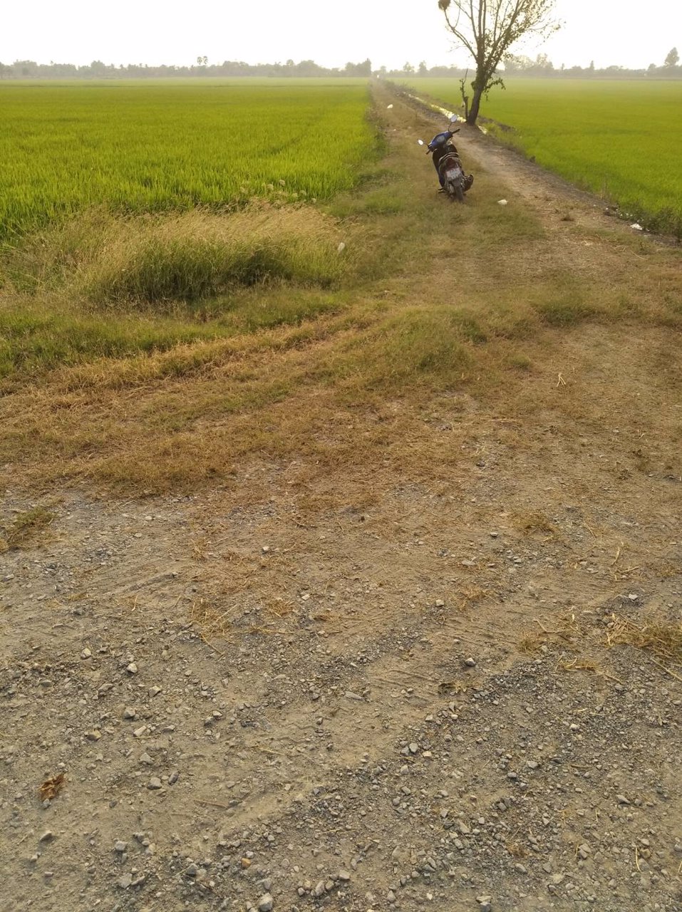 ขายถูกที่ดิน-39-ไร่-ใกล้โซนทำสนามบินนครปฐมแห่งใหม่ราคาไม่แพง