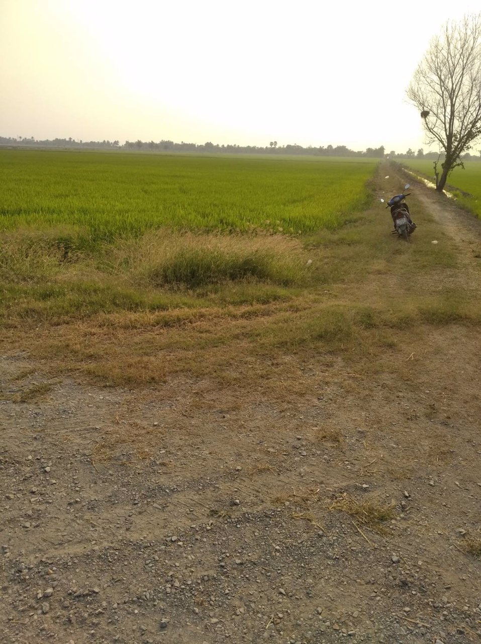 ขายถูกที่ดิน-39-ไร่-ใกล้โซนทำสนามบินนครปฐมแห่งใหม่ราคาไม่แพง