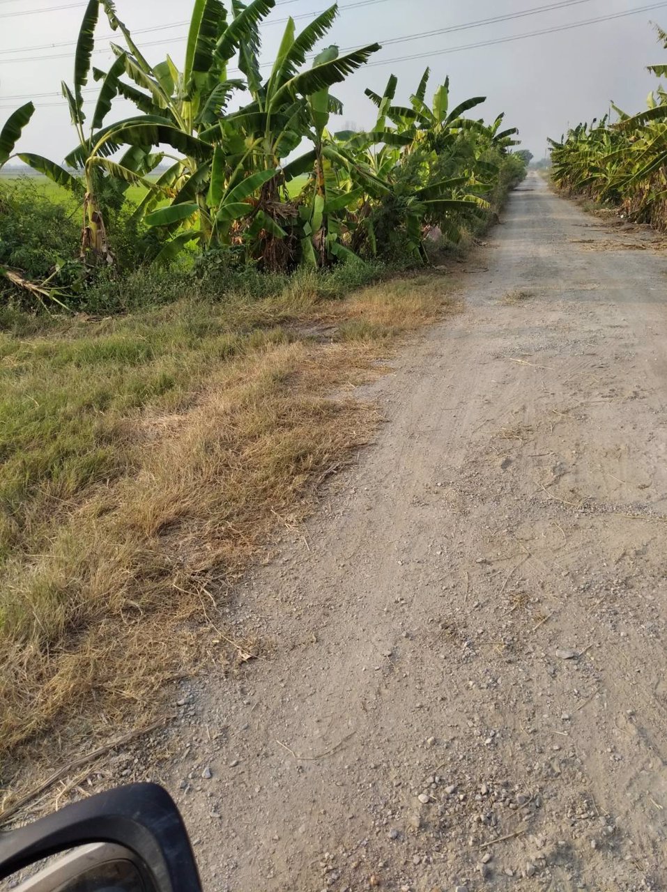 ขายถูกที่ดิน-39-ไร่-ใกล้โซนทำสนามบินนครปฐมแห่งใหม่ราคาไม่แพง