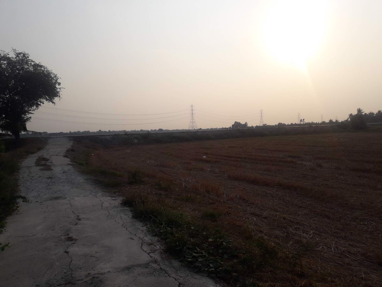 ขายถูกที่ดิน-39-ไร่-ใกล้โซนทำสนามบินนครปฐมแห่งใหม่ราคาไม่แพง