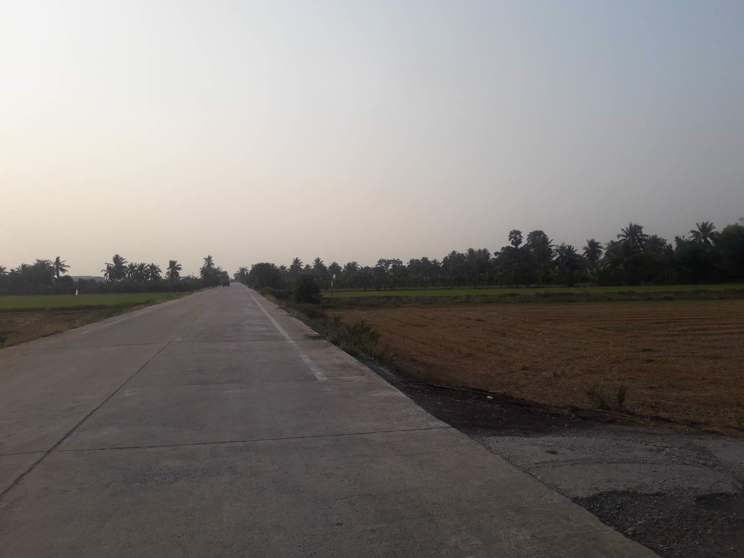 ขายถูกที่ดิน-39-ไร่-ใกล้โซนทำสนามบินนครปฐมแห่งใหม่ราคาไม่แพง