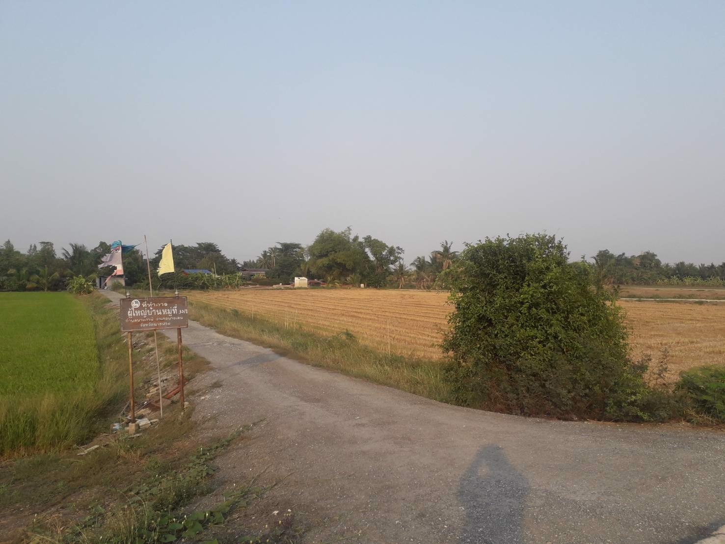 ขายถูกที่ดิน-39-ไร่-ใกล้โซนทำสนามบินนครปฐมแห่งใหม่ราคาไม่แพง