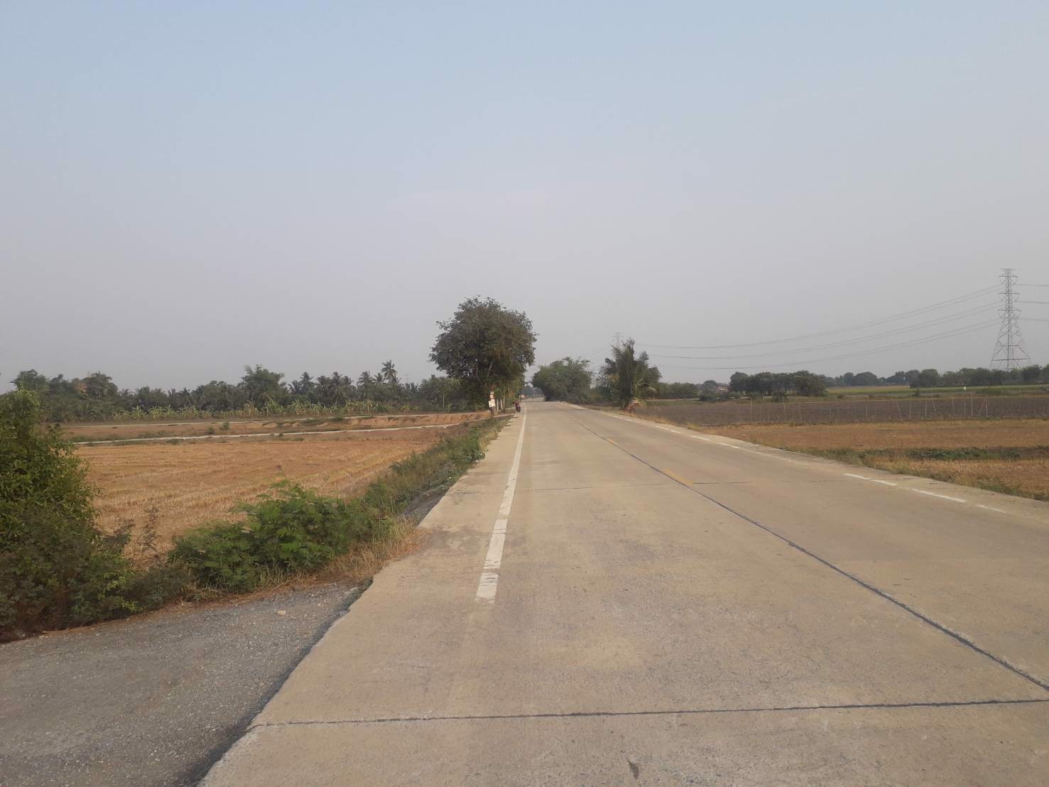 ขายถูกที่ดิน-39-ไร่-ใกล้โซนทำสนามบินนครปฐมแห่งใหม่ราคาไม่แพง