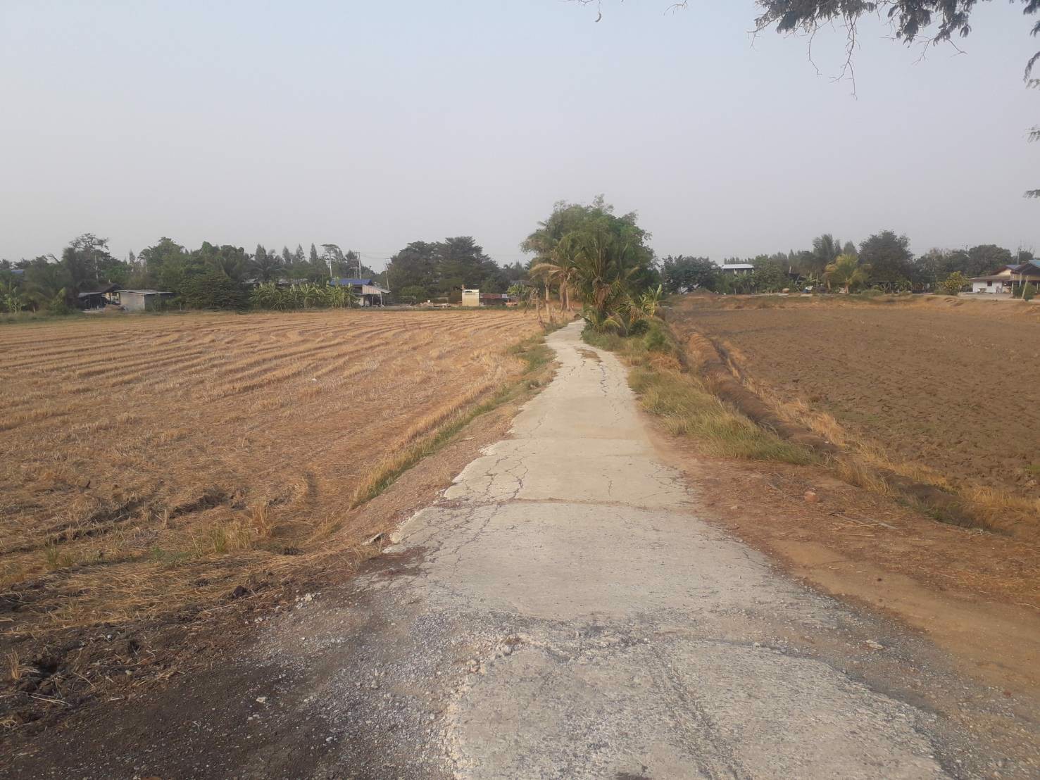 ขายถูกที่ดิน-39-ไร่-ใกล้โซนทำสนามบินนครปฐมแห่งใหม่ราคาไม่แพง