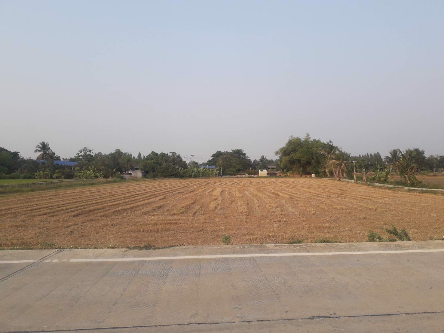 ขายถูกที่ดิน-39-ไร่-ใกล้โซนทำสนามบินนครปฐมแห่งใหม่ราคาไม่แพง