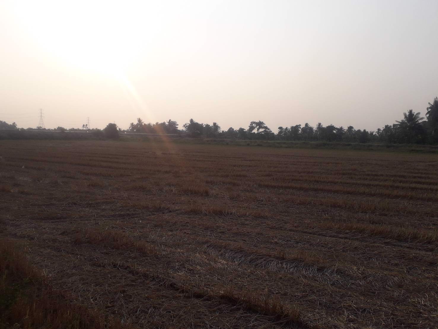 ขายถูกที่ดิน-39-ไร่-ใกล้โซนทำสนามบินนครปฐมแห่งใหม่ราคาไม่แพง