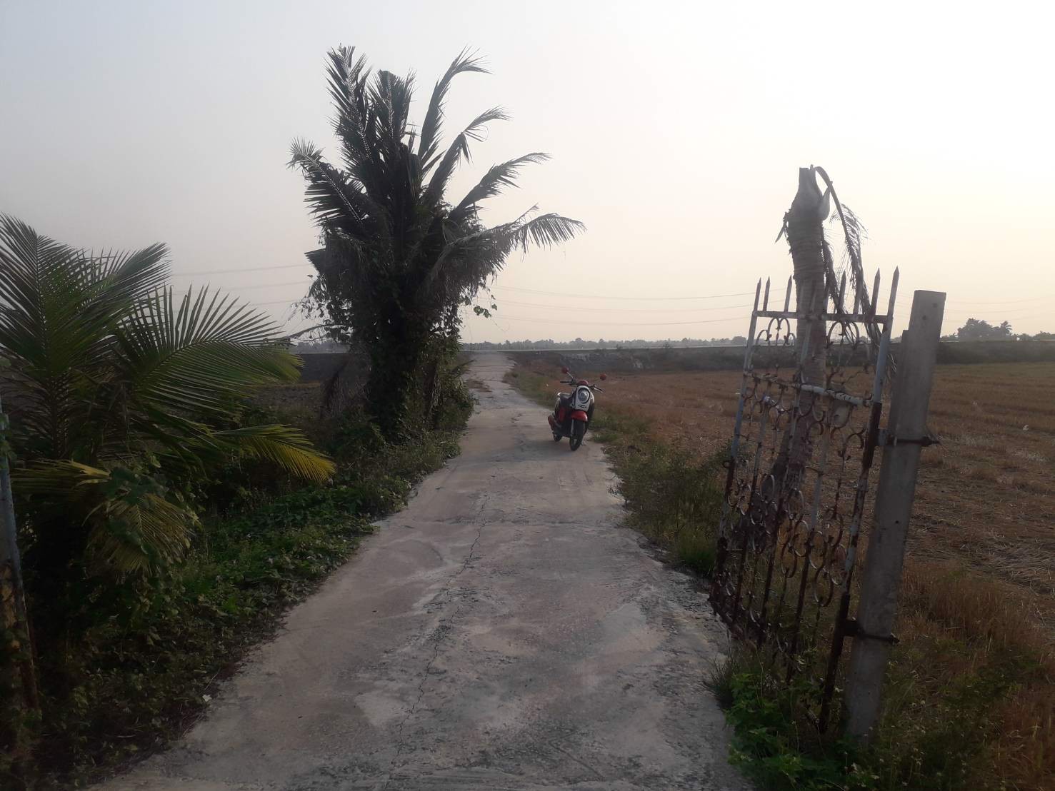 ขายถูกที่ดิน-39-ไร่-ใกล้โซนทำสนามบินนครปฐมแห่งใหม่ราคาไม่แพง