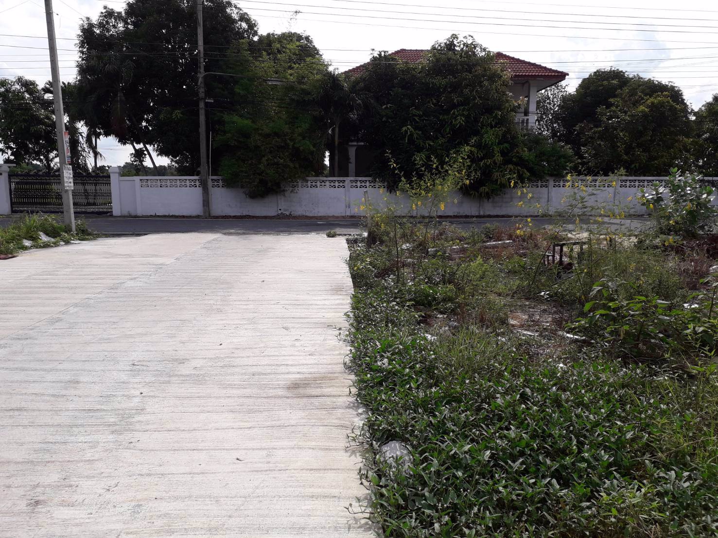 ขายถูกมากที่ดินเปล่า-120-ตารางวา-ติดถนน-3-ด้าน-ธัญญะคลอง-8