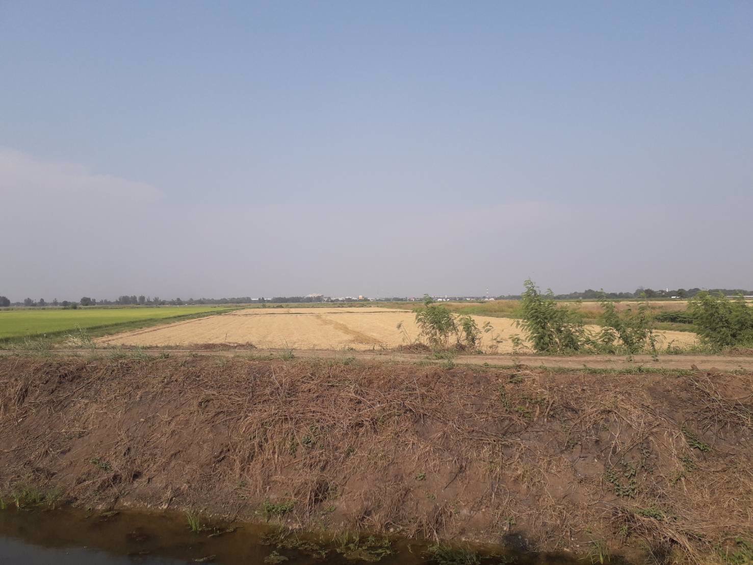 ขายถูกมากที่ดินเปล่า-18-ไร่-ขายต่ำกว่าราคาประเมิน-เมืองอยุธยา-ห่างถนนสายเอเซียเพียง-3-กม